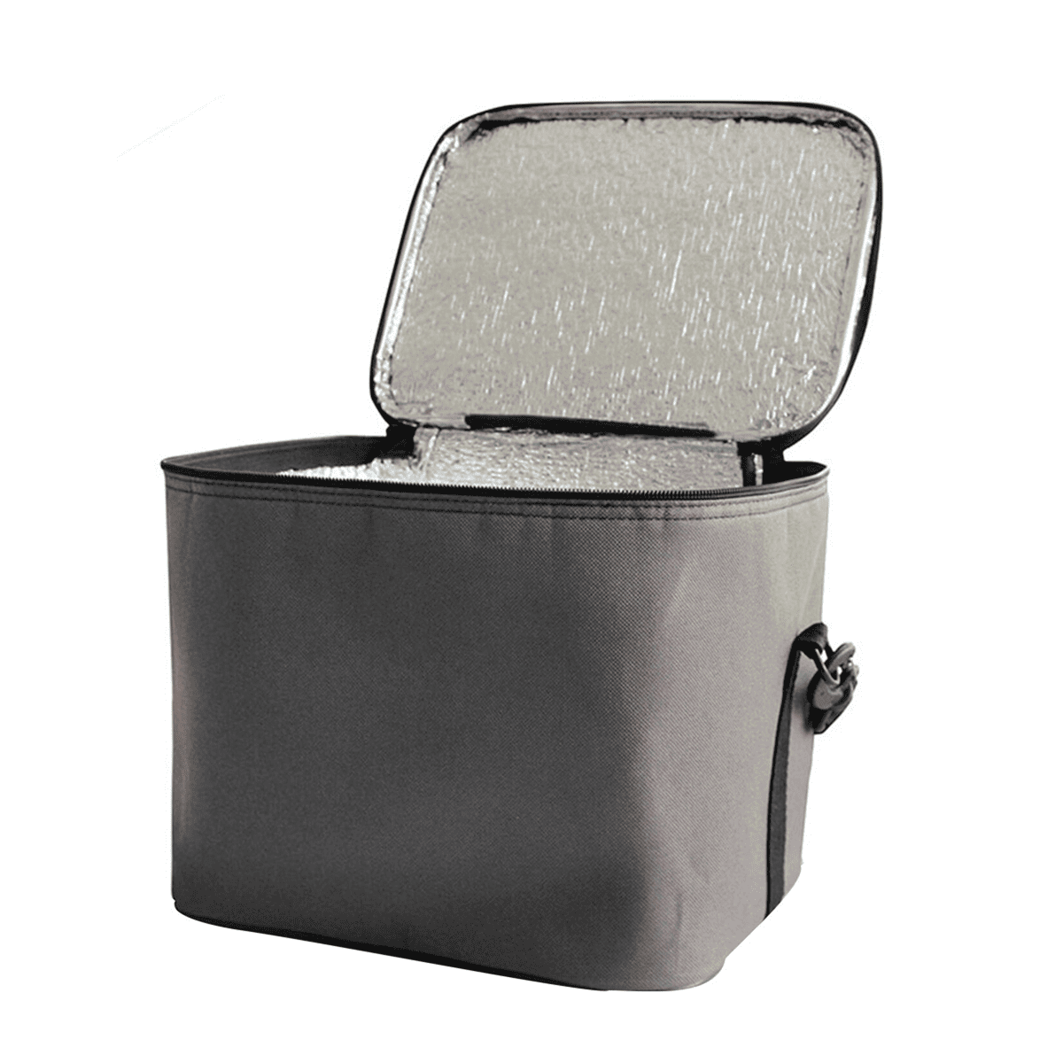 Soğutucu Termos Çanta AC104